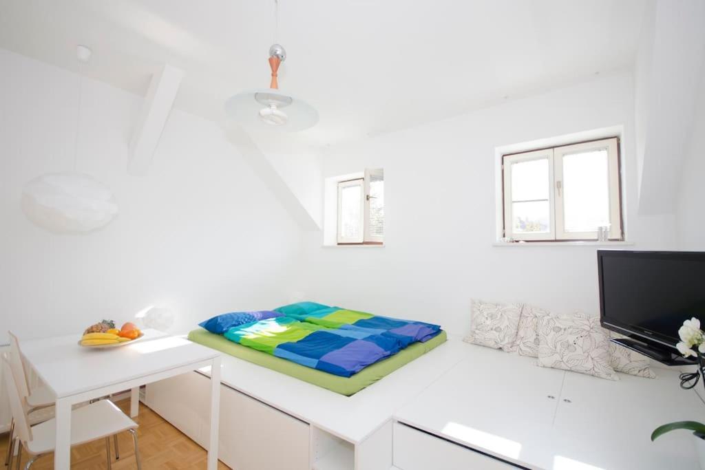 The Cute, Sunny Apartment In The Center +P Ljubljana Dış mekan fotoğraf