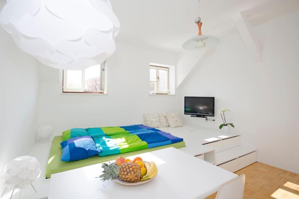 The Cute, Sunny Apartment In The Center +P Ljubljana Dış mekan fotoğraf