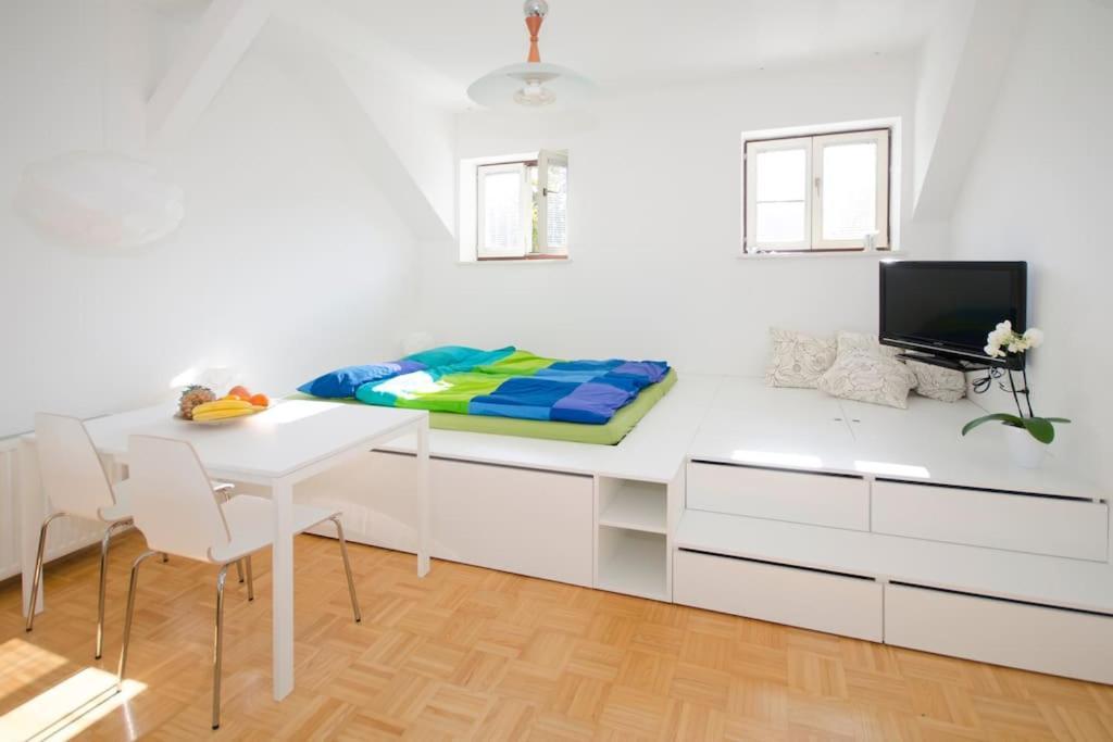 The Cute, Sunny Apartment In The Center +P Ljubljana Dış mekan fotoğraf