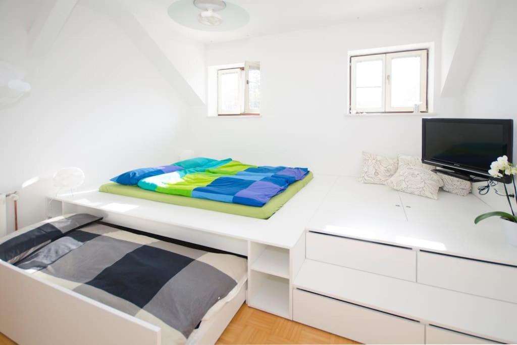 The Cute, Sunny Apartment In The Center +P Ljubljana Dış mekan fotoğraf